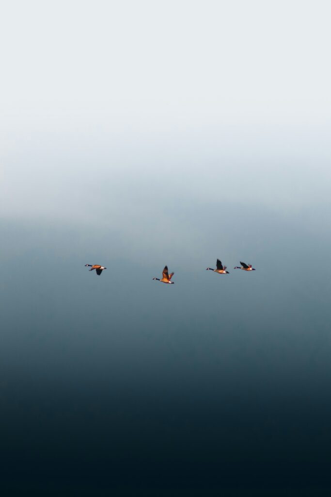 Rückblick: Filmabend und Gespräch zum Weltgeflüchtetentag in Stuttgart